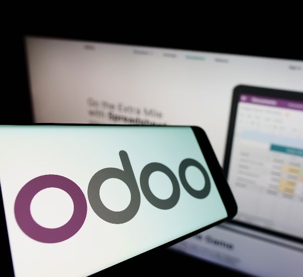 seo para odoo